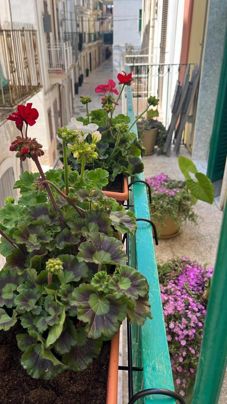 Villa La Casa Di Nonna Sisina à Mola di Bari Extérieur photo
